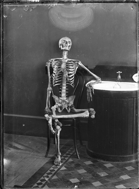 Image result for skeleton in a chair pic