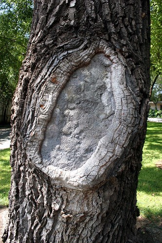 Cement Tree | Sculpture Found | ezeta69 | Flickr