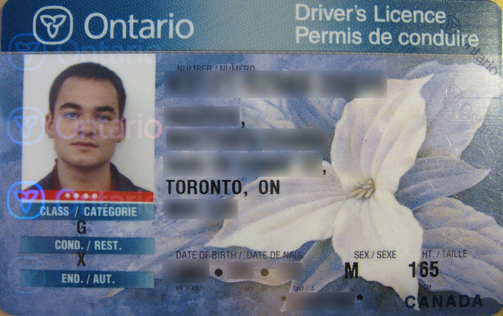 ontario drivers license template