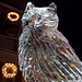 Owl ice sculpture | Flickr - Photo Sharing!