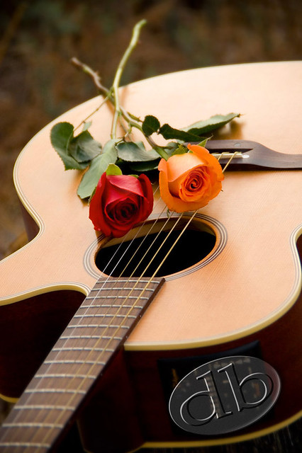 Guitar Roses From a 25th wedding anniversary photo 