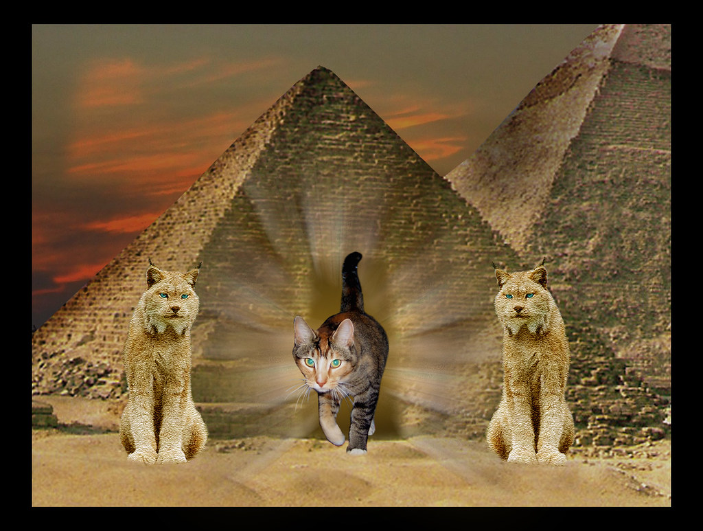 Bastet Cat Goddess This Is For What Have You Done T… Flickr