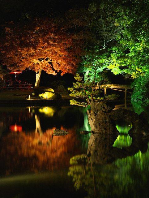 Japanese garden at night / 六義園の夜景 | See where this picture ...
