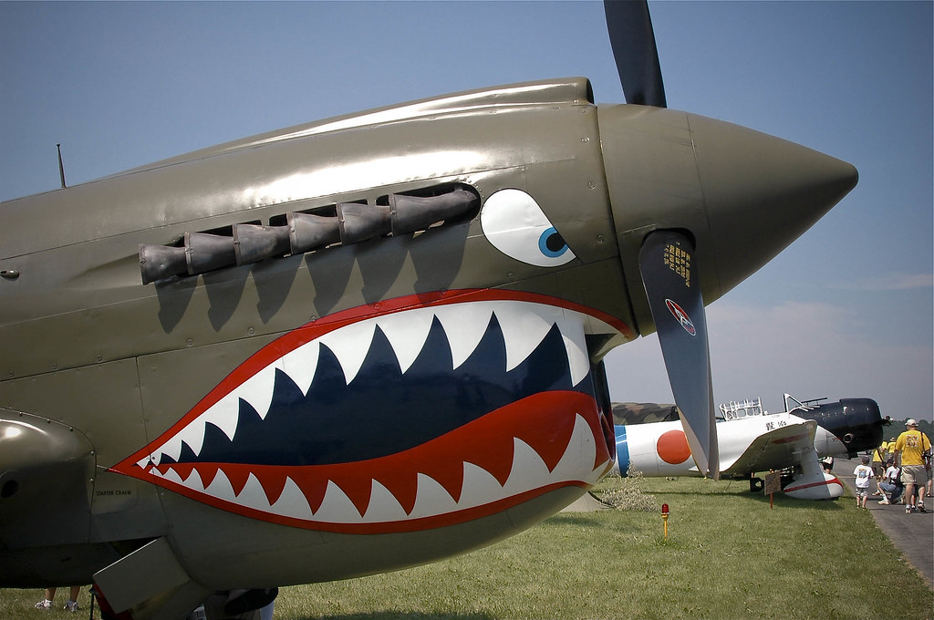 Airplane Shark Mouth 85
