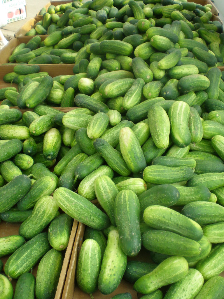 kirby cucumbers Eat to Blog farmer's market Howard Walfish Flickr