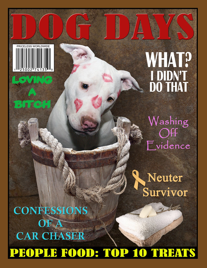 Funny Dog Days Magazine Cover, Rescued White Puppy Dog Kah