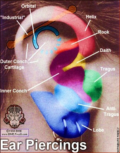 Made From The Seoul Crafts Korea Hobbies My Conch Piercing