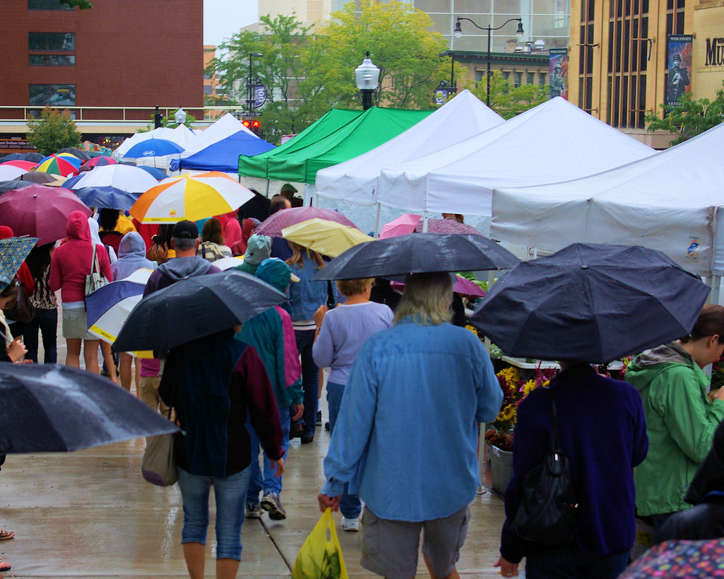 Umbrella wielding shoppers at Dane County Farmers' Market at the state capitol, Madison, Wisconsin, September 13, 2008 (Pentax K10D)