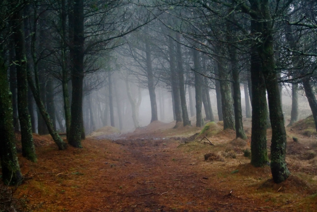 Spooky Woods | Spooky Woods at the Callander Craigs | Trossachs