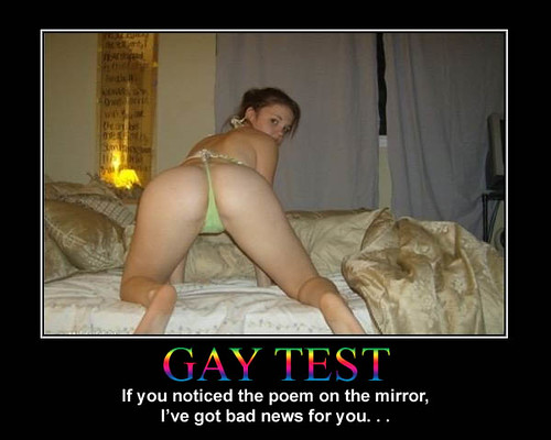 He Gay Test 89
