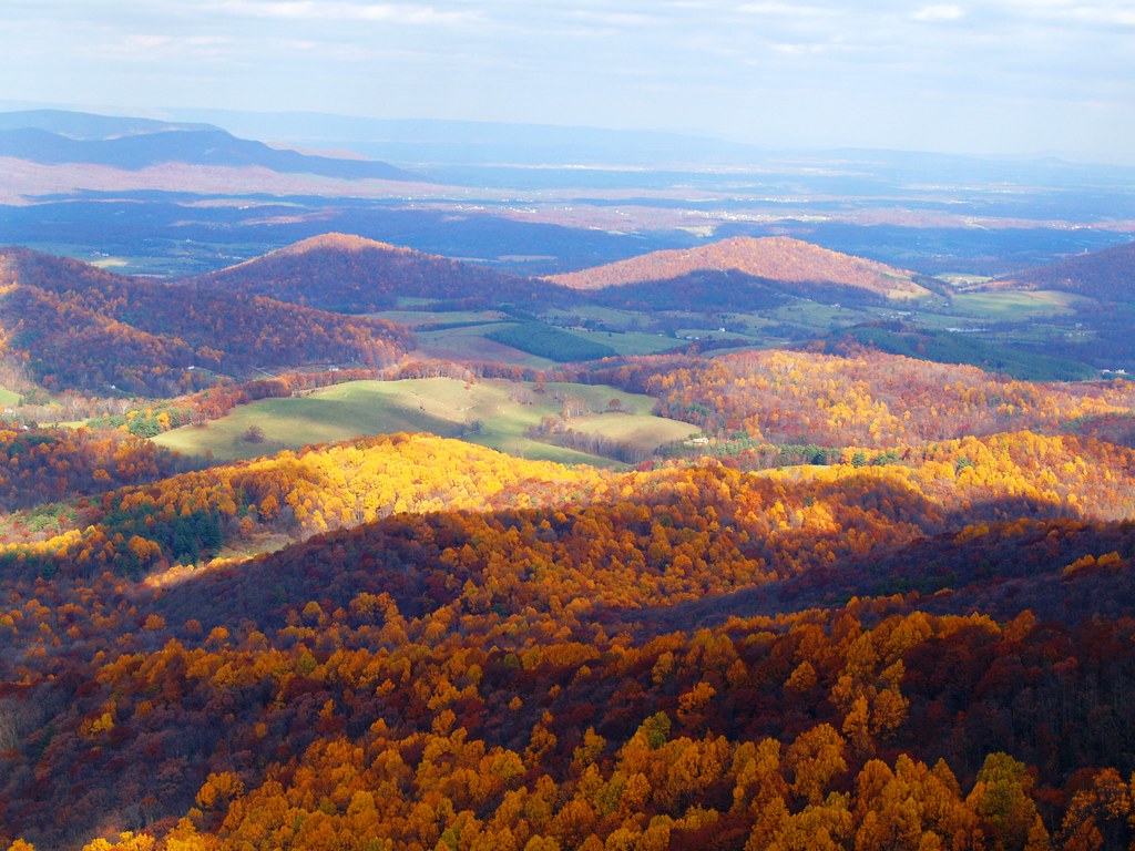 Shenandoah Valley The fall colors of the Shenandoah Valley… Jeffry