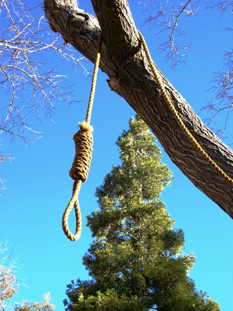 Image result for hanging rope