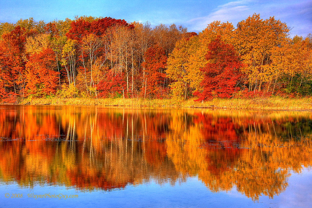 Autumn Reflections: Minnesota Autumn | This image ...
