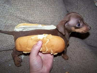 Image result for hot dogs