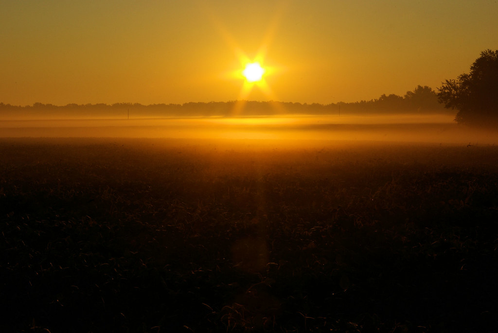 Sun rising and ground fog over field adjacent to Springfield, Illinois KOA, September 27, 2008 (Pentax K10D)