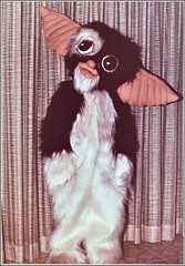 Gizmo the Gremlin costume