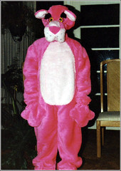 Pink Panther costume