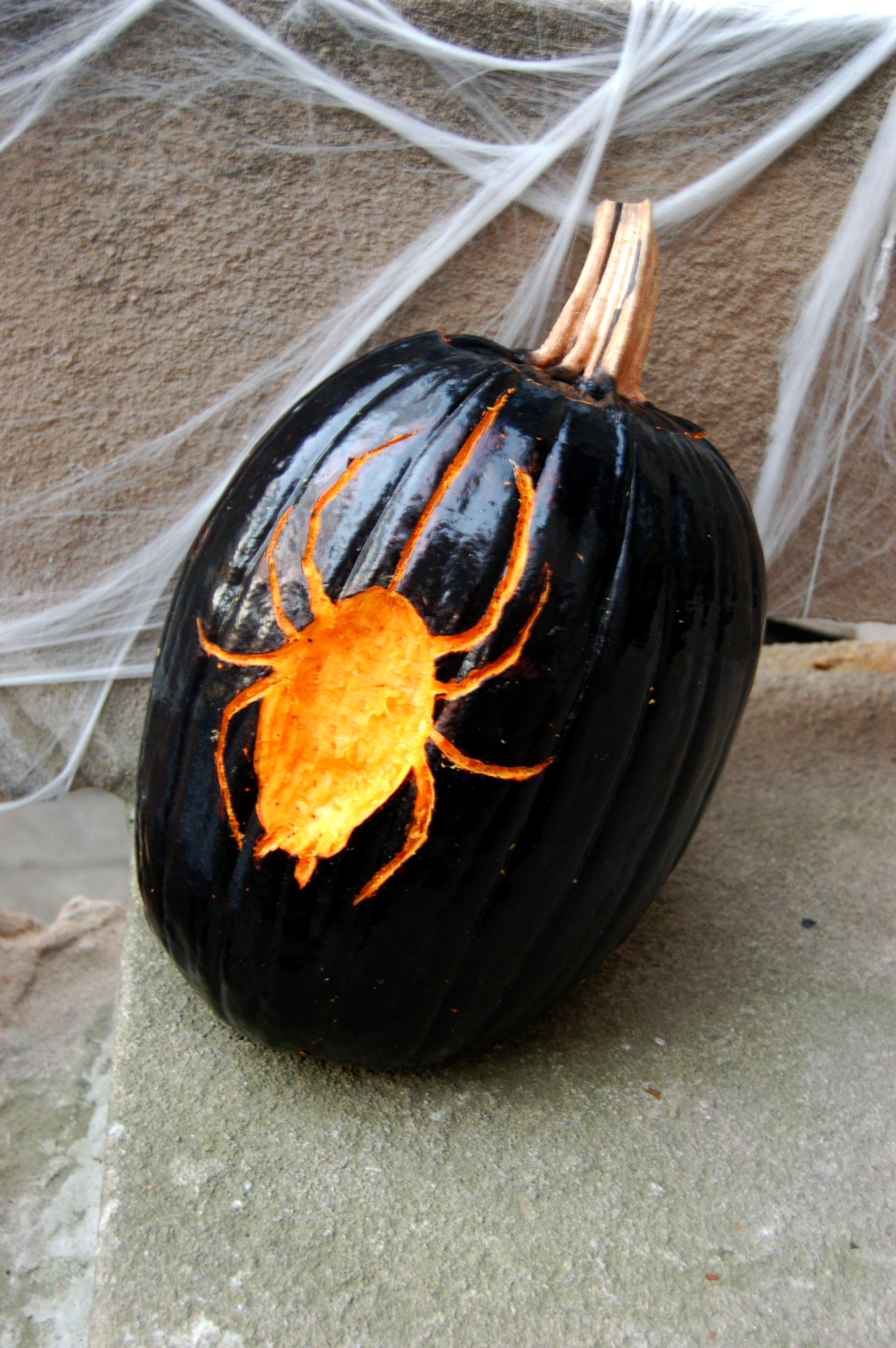 Spider Infestation Halloween www.brooklynlimestone.com
