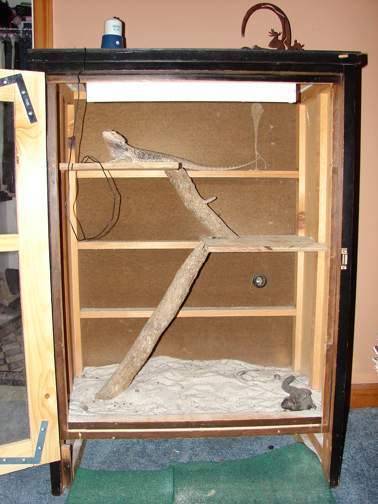 my bearded dragon cage this is with the door open me and