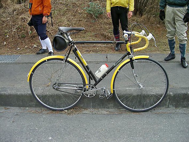 Vintage Racing Bike 53