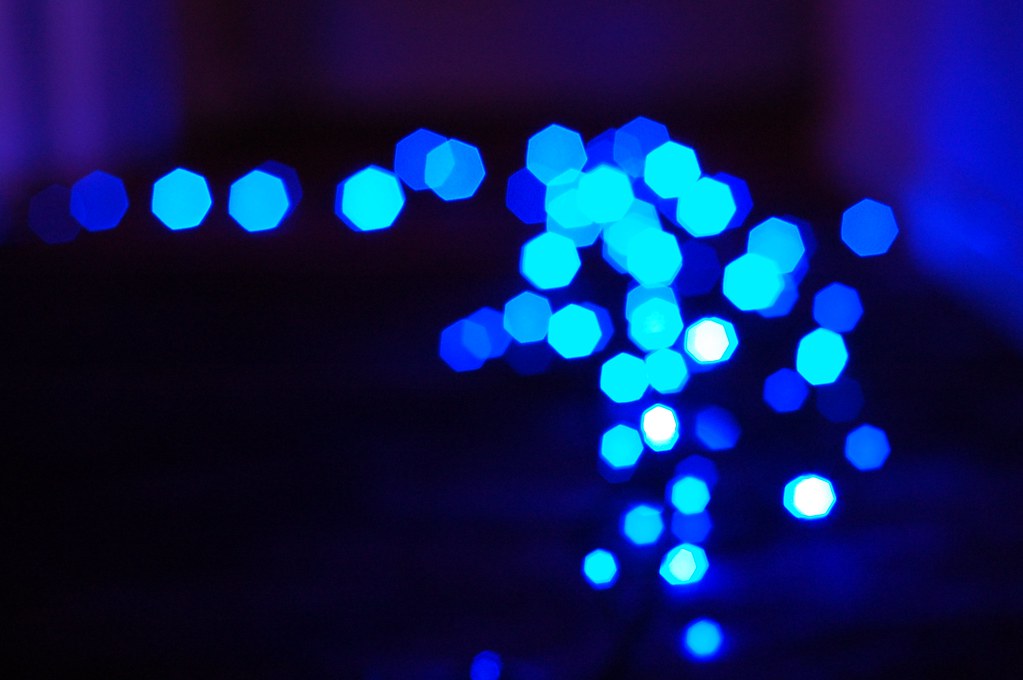 Christmas tree lights! - No, I'm not so sad that I have my C… - FlickrChristmas tree lights! - 웹