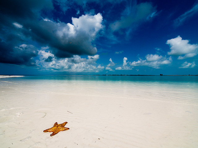 Resultado de imagen de playa Paraiso, Cayo Largo