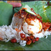 nasi lemak bungkus Explore u m a m i s photos on Flickr 