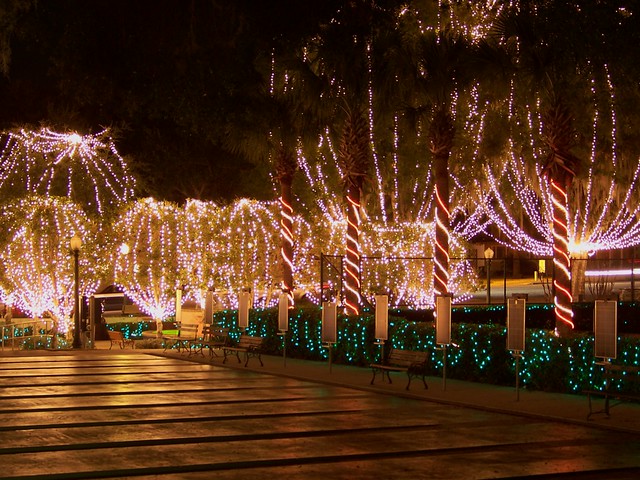 Mount Dora Town Square Lights | Lots of Christmas lights aro ...