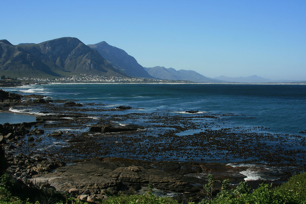 Hermanus, South Africa | This Is The View From Downtown Herm… | Flickr