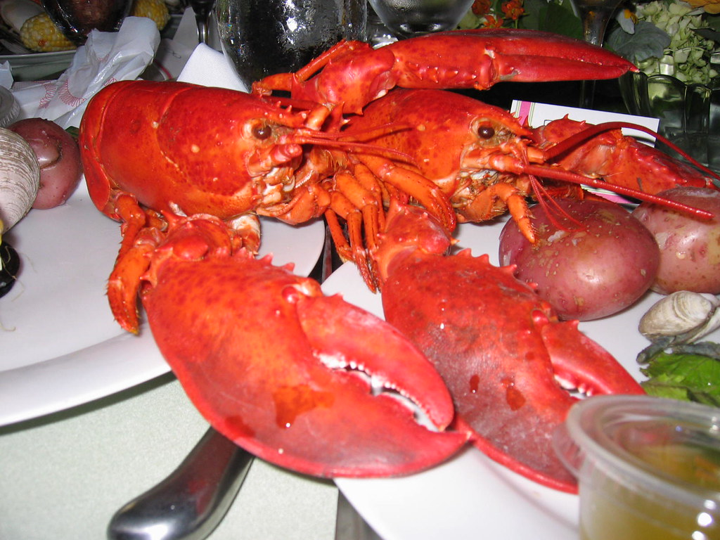 Lobster Porn Site