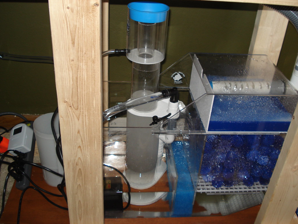 Nuestro nuevo filtro seco/húmedo con skimmer de proteínas.
