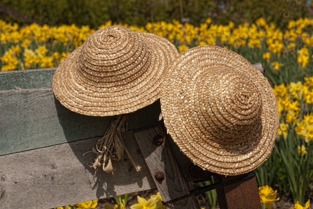 Les chapeaux de paille | Monique Laguë | Flickr