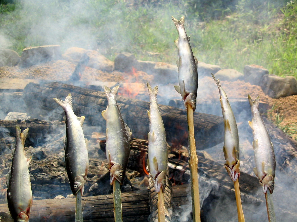 Cooking Fish-On-A-Stick the Easy Way – 101 Ways to Survive