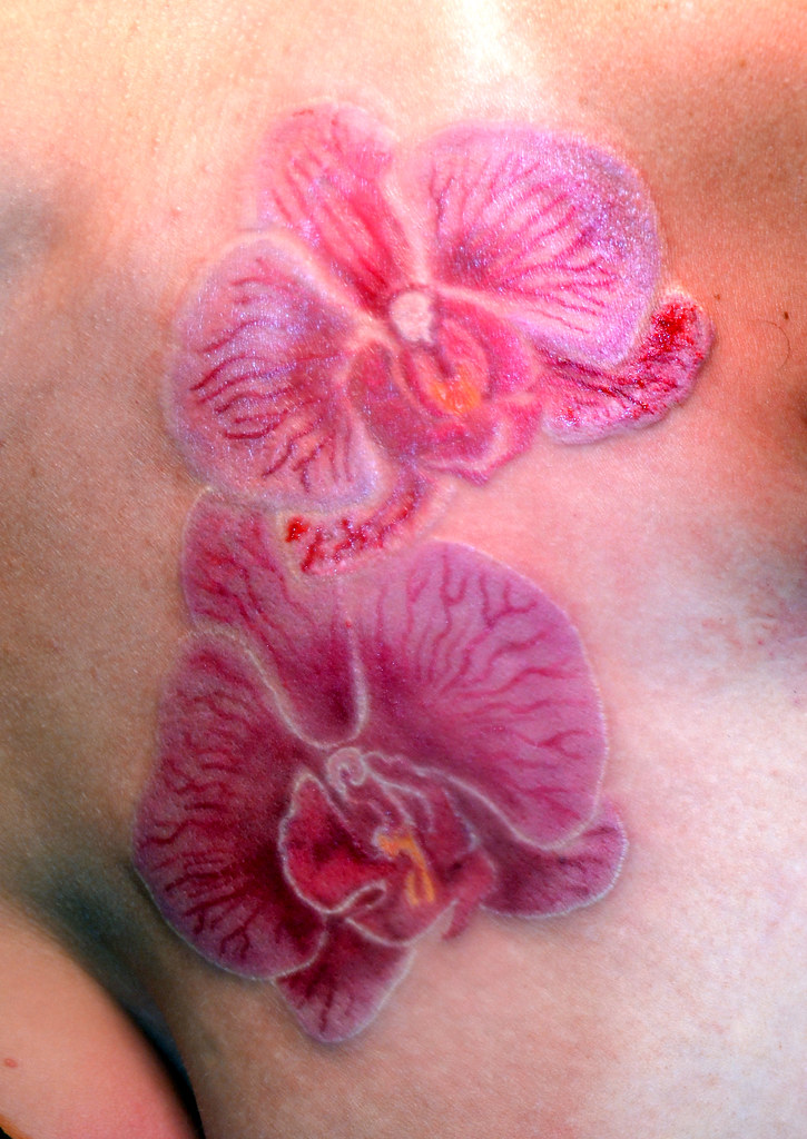 Татуировки на половых органах женщин