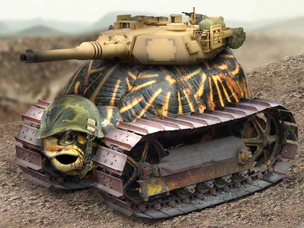 Image result for tank turtle