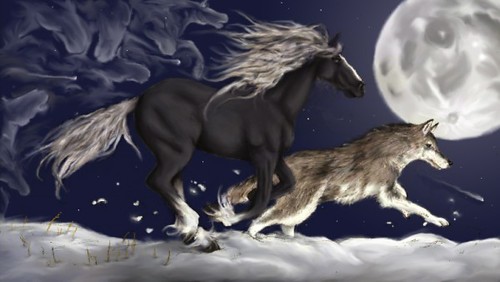 horse and wolf running together | Kristín Eva | Flickr