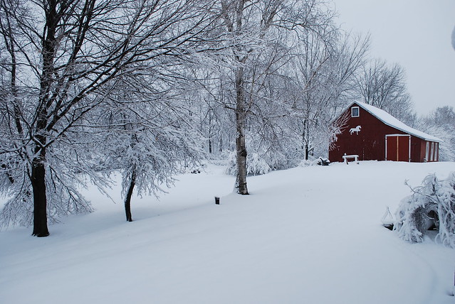 Winter Time in Africa