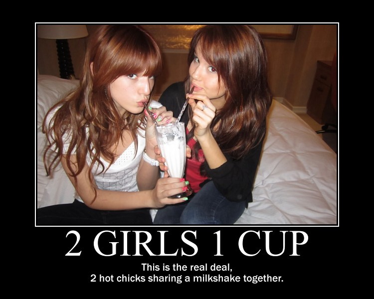 2girls 1 cup essay