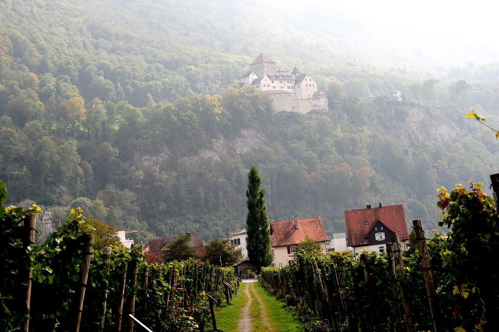 Liechtenstein vineyard and castle