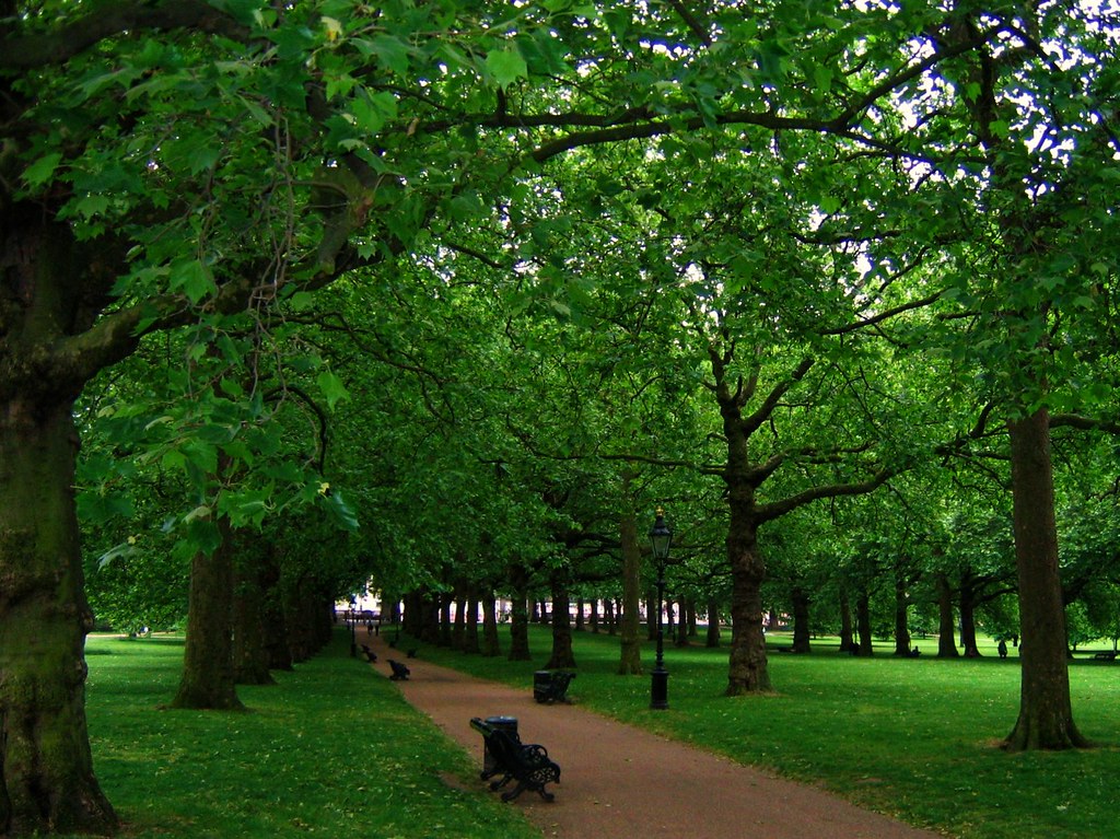 Зеленый лондон. Грин парк Лондон. Зеленый город в Лондоне Королевский парк Грин парк. Грин парк Лондон autumn. Грин парк в Лондоне фото.