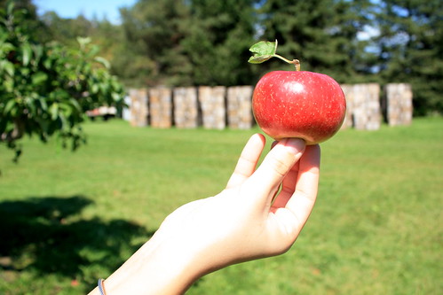 Apple in Hand