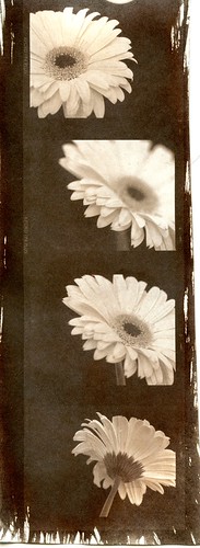 3879238531_a15f9da88e.jpg