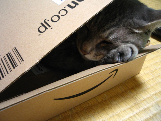 sleep in a box (なな October 6, 2009)