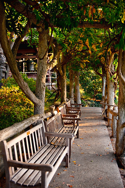 Huntington Japanese Garden Benches Benches Overlooking The Flickr