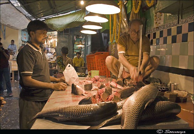 Fish Market | Kolkata | Shot @ Manicktala, North Kolkata, We… | Flickr