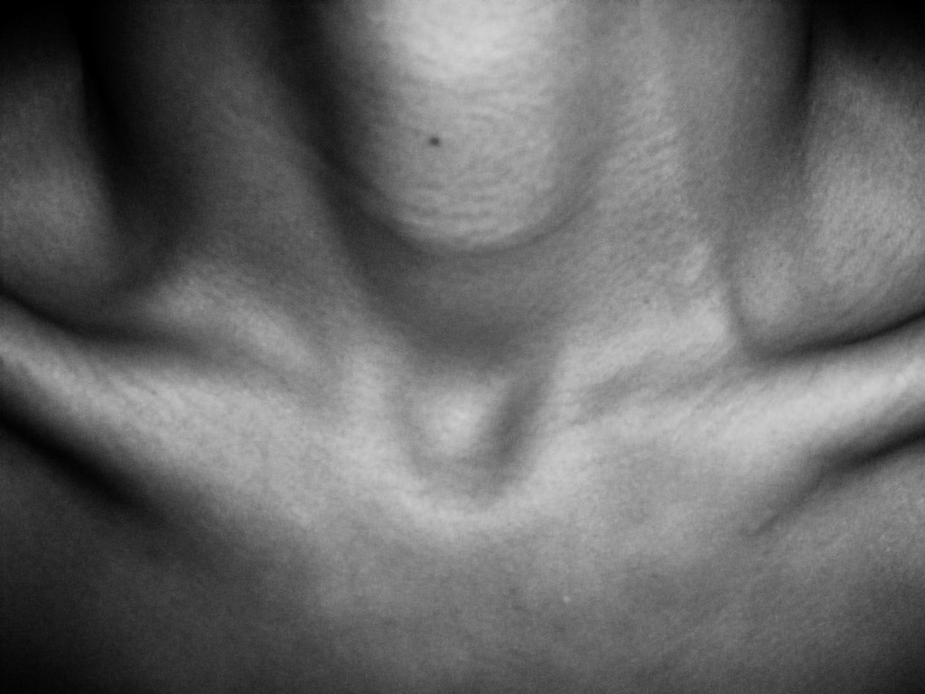 Collar bones | My protruding collar bones. | mikahsargent | Flickr