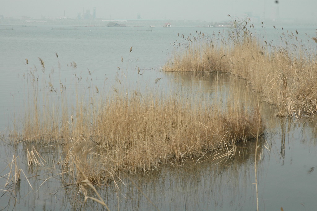 A photography project on the sustainable development of the dongting lake