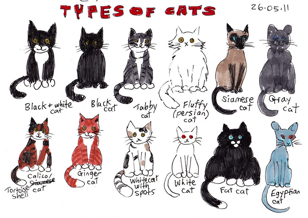 Types of cats | Here's a bunch of cats I drew while thinking… | Flickr