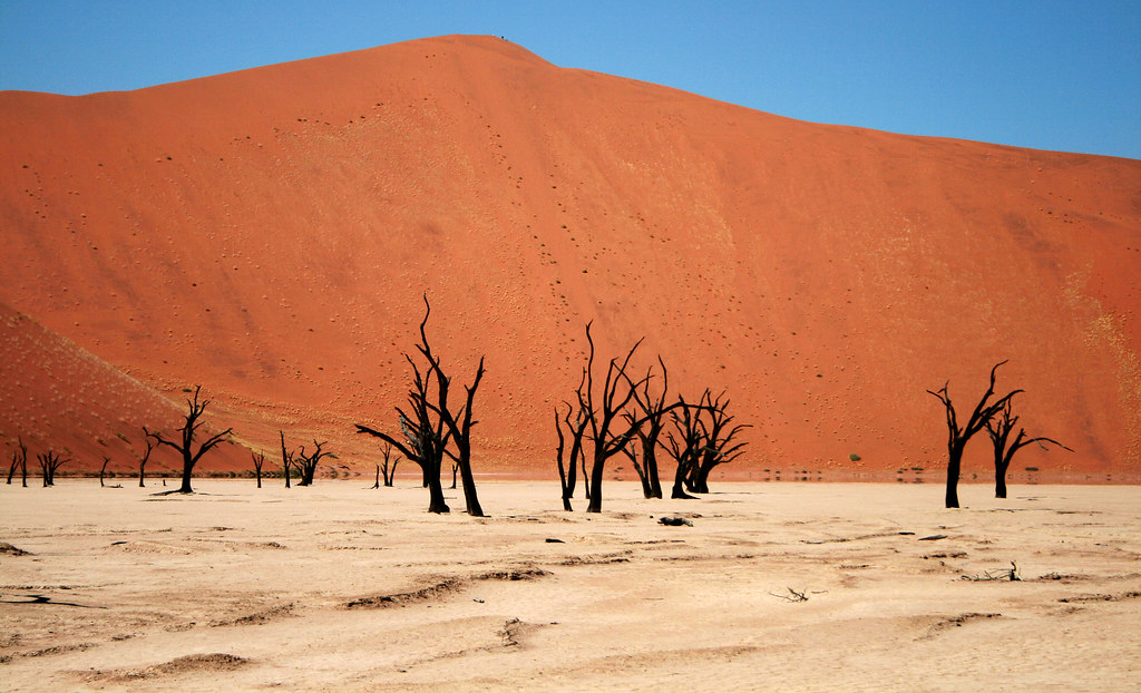 Star Trails, Namib-Naukluft Park, Namib Desert, Namibia, Africa загрузить