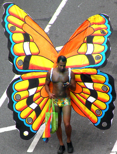 Butterfly Gay 97